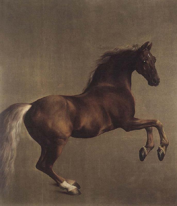 George Stubbs Whistlejacket